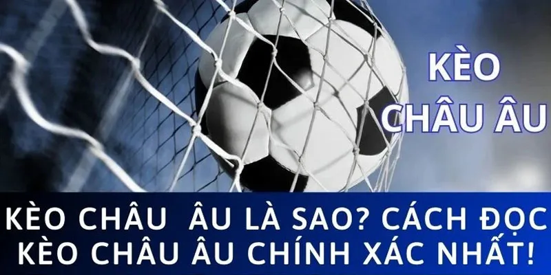 Học hỏi cách đọc kèo bóng đá châu Âu cơ bản nhất