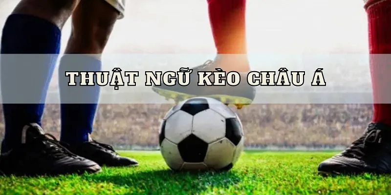 Ý nghĩa các thuật ngữ xuất hiện trong cá cược kèo Châu Á